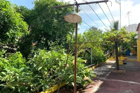 Casa com 1 Quarto para alugar, 40m² no Jardim Santa Francisca, Guarulhos