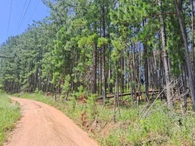 Fazenda/Sítio à venda, 20000m² no Fiuza, Viamão