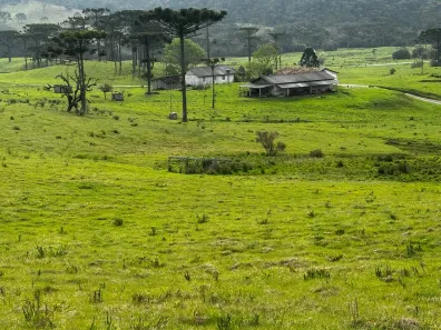 Fazenda/Sítio à venda, 13880000m² no , Bom Retiro