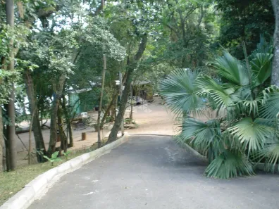 Fazenda/Sítio à venda, 12919m² no Ponta Grossa, Porto Alegre