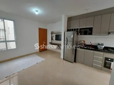Apartamento com 2 Quartos para alugar, 42m² no Fazenda Rio Preto, São José do Rio Preto