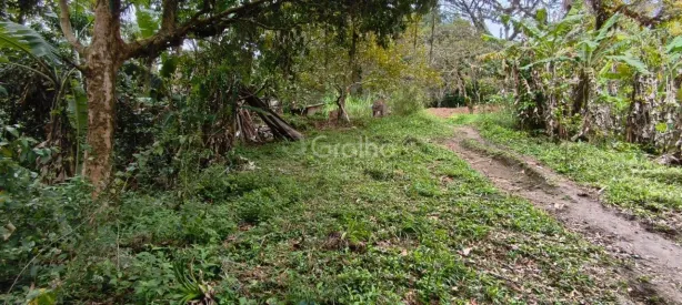Lote/Terreno à venda, 6284m² no Pantanal, Florianópolis