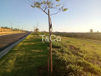 Lote/Terreno à venda, 412m² no Bairro das Palmeiras, Campinas