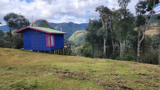 Fazenda/Sítio com 2 Quartos à venda, 100000m² no , Urubici