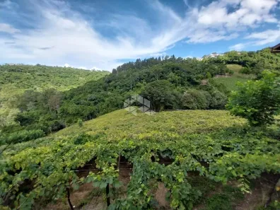 Fazenda/Sítio com 1 Quarto à venda, 25000m² no São Vendelino, Bento Gonçalves