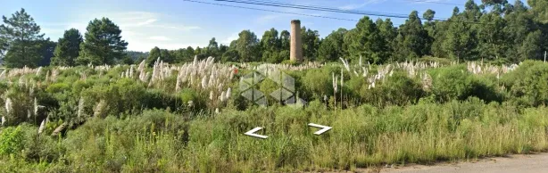 Lote/Terreno à venda, 32202m² no Centro, São Francisco de Paula