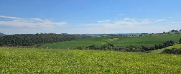 Fazenda/Sítio à venda, 1000m² no , Silvianópolis