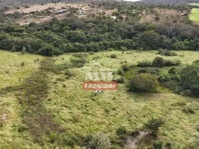 Fazenda/Sítio à venda, 1m² no Vila Santa Terezinha, Inhumas