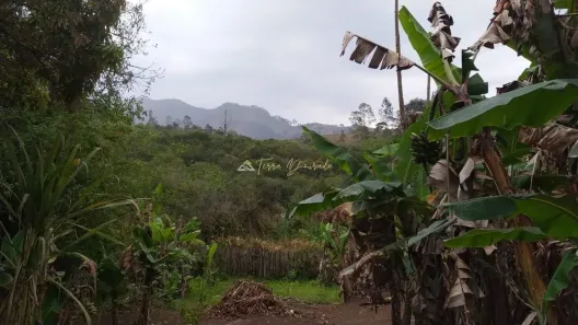 Fazenda/Sítio com 2 Quartos à venda, 733m² no , Gonçalves