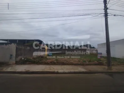 Lote/Terreno para alugar, 250m² no Jardim Ipanema, São Carlos