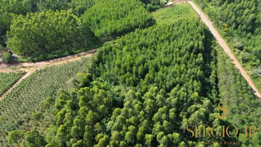 Fazenda/Sítio à venda, 9169m² no , Triunfo