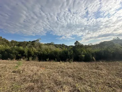 Fazenda/Sítio à venda, 42000m² no Santa Felicidade, Curitiba