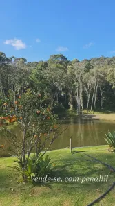 Fazenda/Sítio à venda, 20000m² no , Castelo