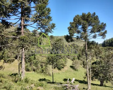 Lote/Terreno à venda, 135078m² no Centro, Rancho Queimado