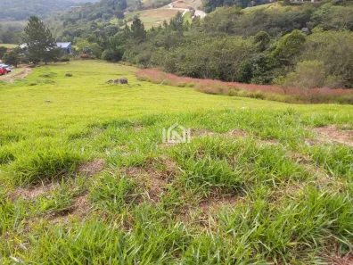 Lote/Terreno à venda, 1951m² no Vila Darcy Penteado (Mailasqui), São Roque