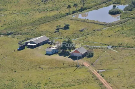 Fazenda/Sítio com 4 Quartos à venda, 119990m² no Centro, São Francisco de Paula