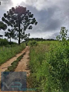 Lote/Terreno à venda, 72600m² no , Paraisópolis