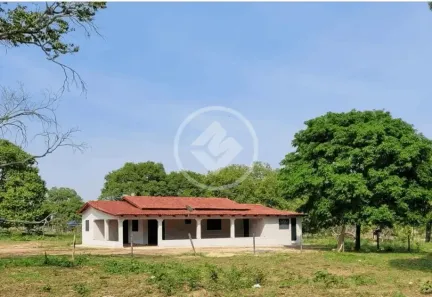 Fazenda/Sítio com 4 Quartos à venda, 8m² no Centro, Britânia