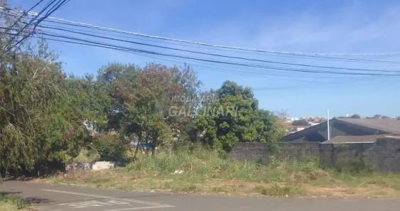 Lote/Terreno à venda, 438m² no Jardim Paraíso de Viracopos, Campinas