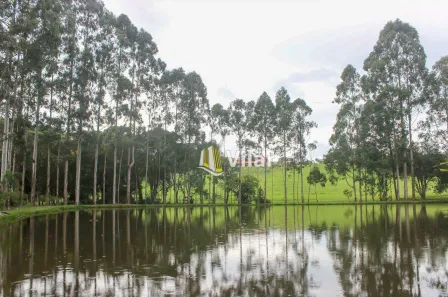 Fazenda/Sítio com 2 Quartos à venda, 262m² no Vila Fuck, Piraquara