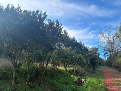 Lote/Terreno à venda, 15752m² no Carlos Barbosa, Carlos Barbosa