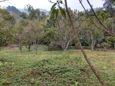 Lote/Terreno à venda, 2050m² no Rio Acima, Mairiporã