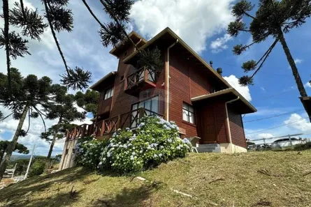 Fazenda/Sítio com 4 Quartos à venda, 220m² no , Painel