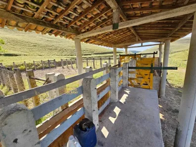 Fazenda/Sítio com 1 Quarto à venda, 1000000m² no Benedito Bentes, Maceió