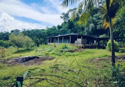 Fazenda/Sítio com 2 Quartos à venda, 3000m² no Marialva, Marialva