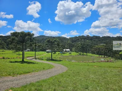 Lote/Terreno à venda, 395000m² no , São Joaquim