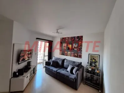 Apartamento com 2 Quartos à venda, 55m² no Santa Teresinha, São Paulo