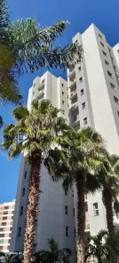 Apartamento com 3 Quartos à venda, 82m² no Jardim Nova Aliança Sul, Ribeirão Preto