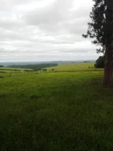 Fazenda/Sítio à venda, 6897000m² no , Riversul
