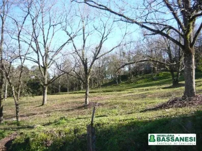 Lote/Terreno à venda, 360m² no São Caetano, Caxias do Sul