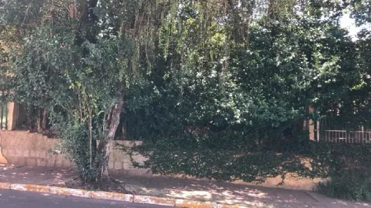 Lote/Terreno para alugar, 350m² no Centro, Canoas