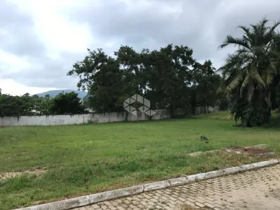 Lote/Terreno à venda, 456m² no Ratones, Florianópolis