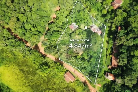 Fazenda/Sítio com 3 Quartos à venda, 100m² no Centro, Bom Jesus dos Perdões