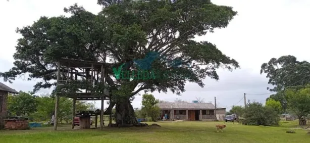 Fazenda/Sítio com 2 Quartos à venda, 2800m² no Área Rural de Águas Claras, Viamão