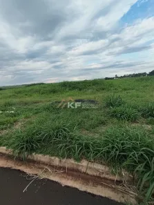 à venda, 354m² no Real Sul, Ribeirão Preto