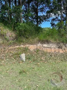 Lote/Terreno à venda, 520m² no Itacorubi, Florianópolis