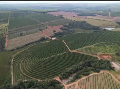 Fazenda/Sítio com 3 Quartos à venda, 120m² no , Angatuba