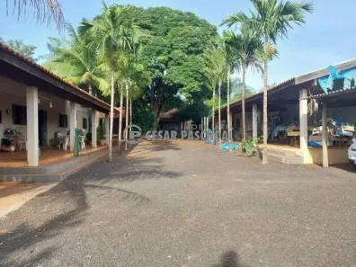 Fazenda/Sítio com 3 Quartos à venda, 590m² no Recreio das Acácias, Ribeirão Preto