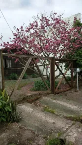 Casa com 2 Quartos à venda, 57m² no Itacolomi, Balneário Piçarras