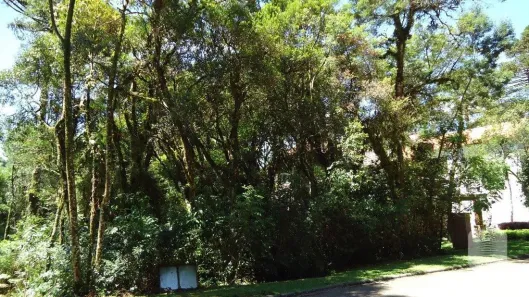 Lote/Terreno à venda, 555m² no Área Rural de Canela, Canela