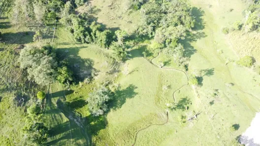 Lote/Terreno à venda, 141947m² no Forquilhas, São José