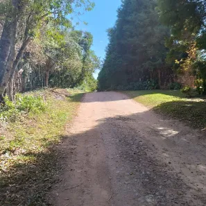 Fazenda/Sítio à venda, 1500m² no Caputera, Cotia