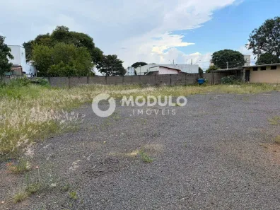 Lote/Terreno para alugar, 1500m² no Tibery, Uberlândia