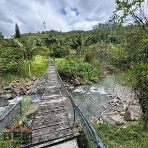 Fazenda/Sítio com 3 Quartos à venda, 93769m² no , Ilhota