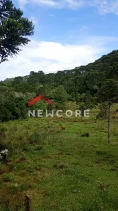 Lote/Terreno à venda, 630000m² no Centro, São Francisco de Paula