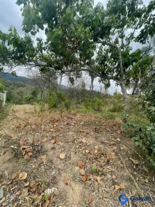 Lote/Terreno à venda, 1453m² no , Pirapora do Bom Jesus